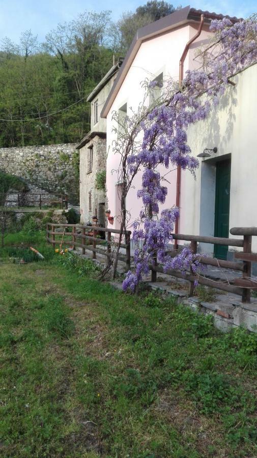 Ca Di Gatti Apartment Ne Εξωτερικό φωτογραφία